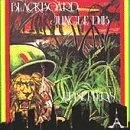 Afbeelding van Lee &quot;Scratch&quot; Perry &amp; The Upsetters Blackboard Jungle Dub (CD)