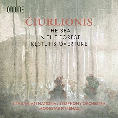 Afbeelding van Lithuanian National Symphony Orchestra Modestas Ciurlionis: The Sea; In Forest; Kestutis (CD)