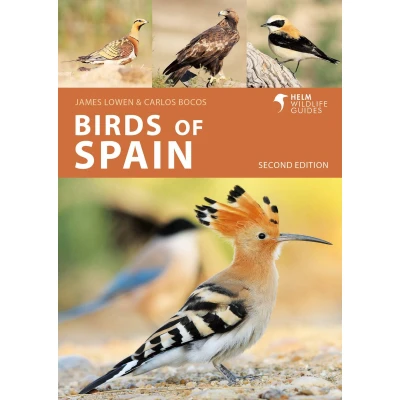 Afbeelding van Helm Wildlife Guides Birds of Spain