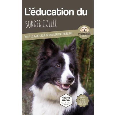 Image de L&#039;éducation du Border Collie