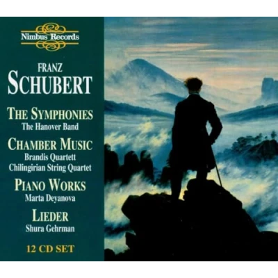 Afbeelding van Various Artists Schubert: The Symphonies, Chamber M (12 CD)