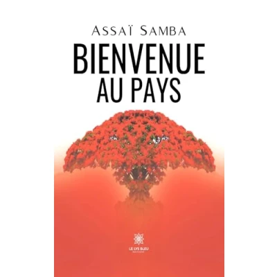 Afbeelding van BIENVENUE AU PAYS