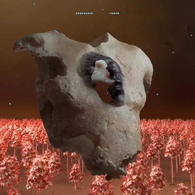 Afbeelding van Soap &amp; Skin Torso (2 LP)