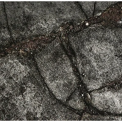 Afbeelding van Boss Hog Brood X (CD)