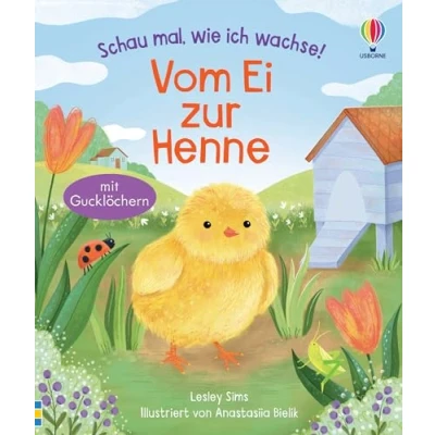 Afbeelding van Fichiers de Lecture Fichier 1.3 CP Livret Pédagogique