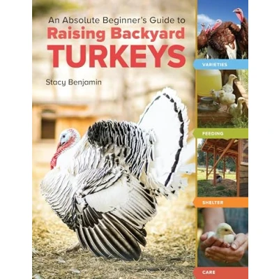Afbeelding van An Absolute Beginner&#039;s Guide to Raising Backyard Turkeys