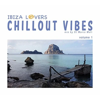 Afbeelding van Various Artists Chillout Vibes Vol.1 (CD)