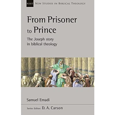 Afbeelding van New Studies in Biblical Theology From Prisoner to Prince