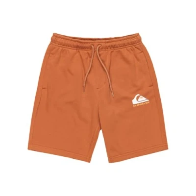 Afbeelding van Quiksilver EASY Jogger Youth Trainingsbroek voor kinderen, Maat: 164, Brown