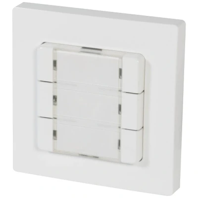 Afbeelding van HOMEPILOT 12501006 Wandtoets Draadloos Opbouw (op muur)