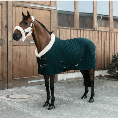 Image de Kentucky Show Rug 160g Dark Green