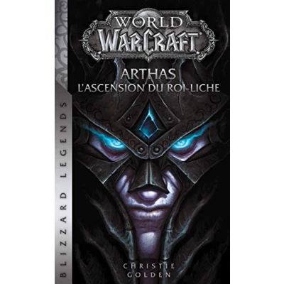 Afbeelding van World of warcraft arthas l&#039;ascension du roi liche