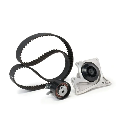 Afbeelding van FEBI BILSTEIN 173163 waterpomp + Distributieriem Set Met 123 RENAULT: CLIO 3, Kangoo II Express, TWINGO 2, DACIA: Duster Off Road, Sandero I