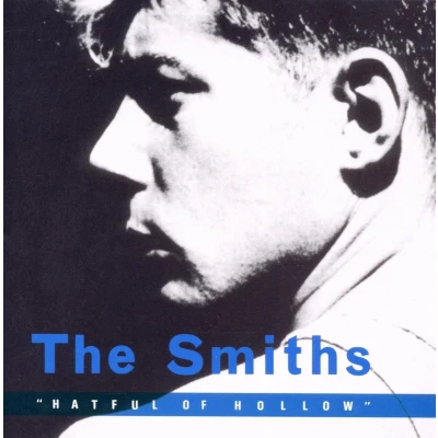 Afbeelding van Hatful Of Hollow