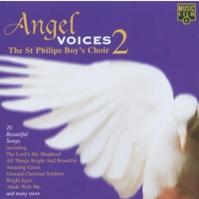 Afbeelding van Angel Voices 2