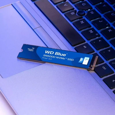 Afbeelding van WD Blue SN5000 500GB SSD M.2 2280 PCI Express 4.0 x4 500 GB NVMe 300TB PS5 compatible blauw, zwart