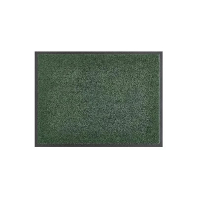 Afbeelding van andiamo Verdi deurmat voor de ingang van het huis, ideaal als binnen of in overdekte buiten, voordeur, 40 x 60 cm, groen