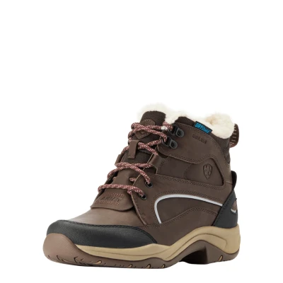 Image de Ariat Chaussure d&#039;Écurie Telluride H2O Femme Marron foncé EU 36