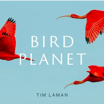 Afbeelding van Bird Planet