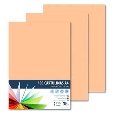 Afbeelding van Raylu Paper® 100 stuks A4 180 g 210 x 297 mm huidskleur kaarten, ideaal voor boekbinden, kantoorwerk, tekenen, knutselen, geschikt schoolgebruik (vlees)