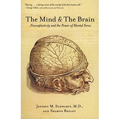 Afbeelding van Mind And The Brain