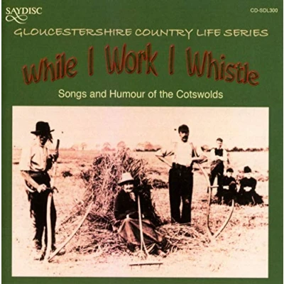 Afbeelding van Various Artists While I Work Whistle (CD)