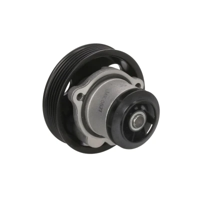 Afbeelding van Saleri SIL PA1705 Waterpomp Mechanisch AUDI: A3 Sportback, Q3, TT Coupe