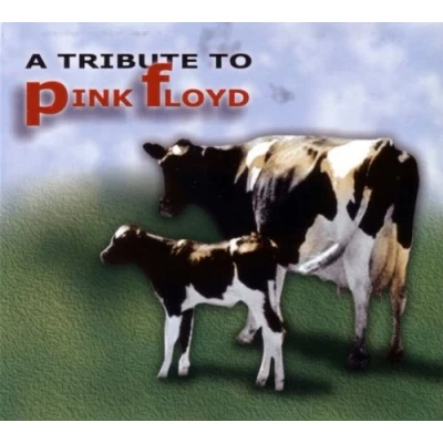 Afbeelding van Rock Tribute To Pink Floyd