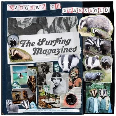 Image de Badgers Of Wymeswold Vinyle Rouge et Beige