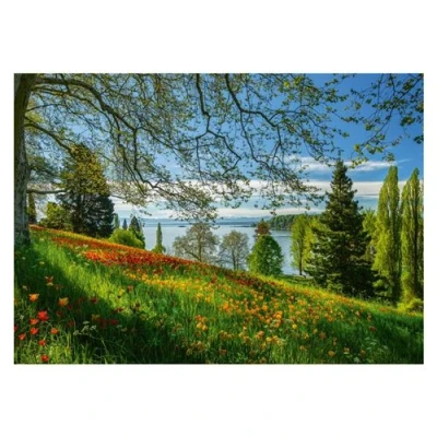 Image de Puzzle 1000 pièces Tulipes en fleurs : Île de Mainau