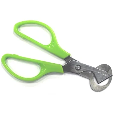 Afbeelding van Fackelmann Kwartel eierschaar, snijder met speciaal systeem voor het openen van eierschalen zonder te breken, roestvrij staal, groene kleur, 14,5 x 6 cm, 1 stuk