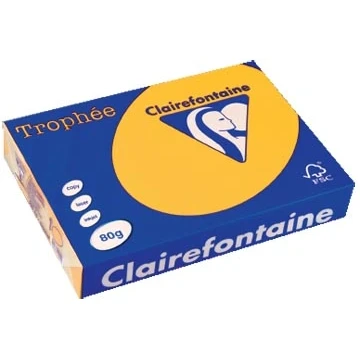 Afbeelding van Clairefontaine Trophée Intens, gekleurd papier, A4, 80 g, 500 vel, zo