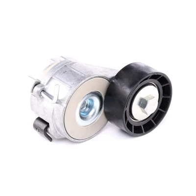 Afbeelding van Skf Spanrol (poly) V riem VKM 33161