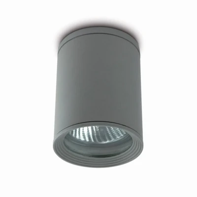 Afbeelding van Kwaliteitsvolle outdoor plafondlamp Tasa