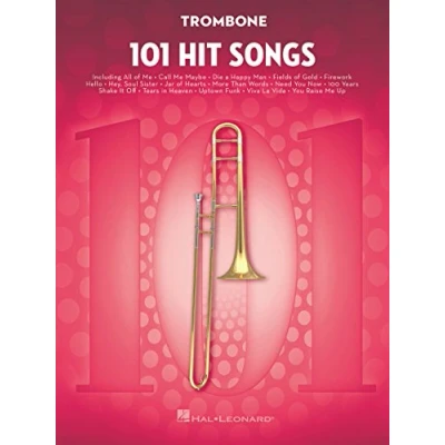 Afbeelding van 101 Hit Songs