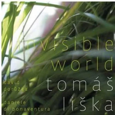 Afbeelding van Invisible World Liska, Tonas (CD)