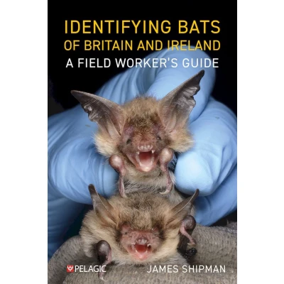 Afbeelding van Pelagic Identification Guides Identifying Bats of Britain and Ireland