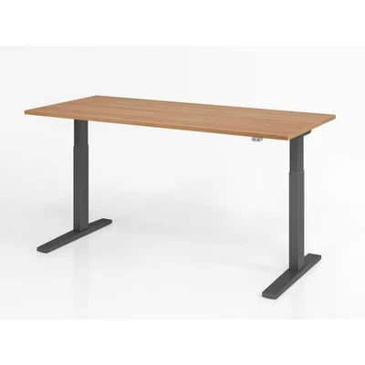 Afbeelding van Bureau In Hoogte Verstelbaar Meerkleurig Xmka 19 G 180x80