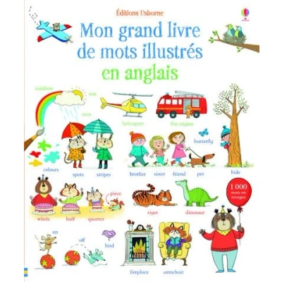 Afbeelding van Mon grand livre de mots illustrés en anglais