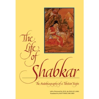 Afbeelding van SUNY series in Buddhist Studies The Life of Shabkar