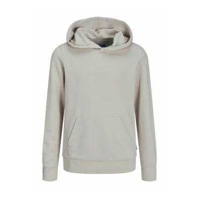 Afbeelding van JACK &amp; JONES JUNIOR JJEBRADLEY SWEAT HOOD NOOS JNR Jongens Trui Maat 128