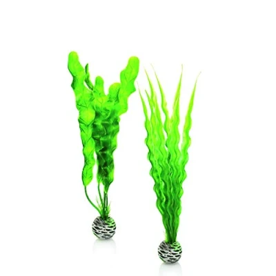 Afbeelding van Plantenset medium groen biOrb