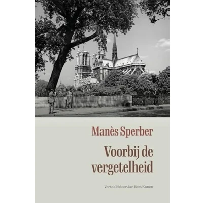 Afbeelding van Voorbij de vergetelheid