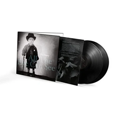 Afbeelding van Joe Henry All the Eye Can See (2 LPs)