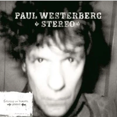 Afbeelding van STEREO / MONO