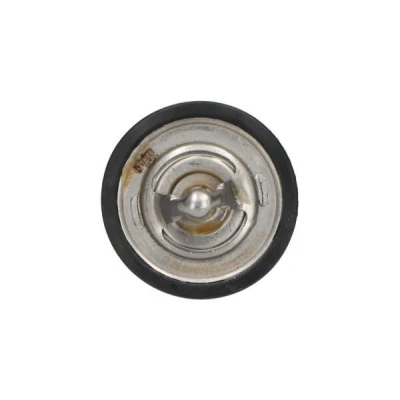 Afbeelding van Kavo Parts Thermostaat TH 1004