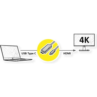 Afbeelding van USB C naar HDMI kabel Roline 1 meter (4K@60Hz, Verguld, Nylon)