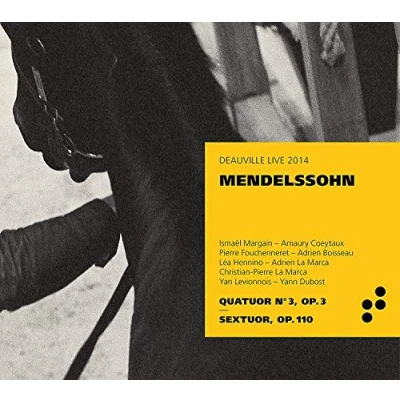 Afbeelding van Various Artists Mendelsshohn Quatuor No. 3 (CD)