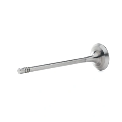 Afbeelding van Ae Uitlaatklep V95041