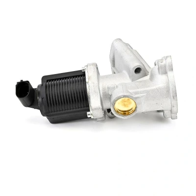 Afbeelding van DELPHI EG10477 12B1 EGR klep Zonder AGR koeler LANCIA: Musa, FIAT: 500 C Convertible